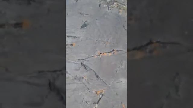 В гости к Джаниикту (4/10) Петроглифы в долине реки Аккёль смотреть онлайн