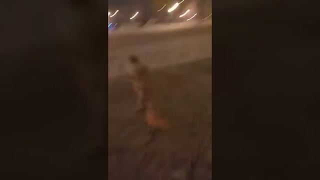 Техника катания на коньках и первые ученики школы смотреть онлайн