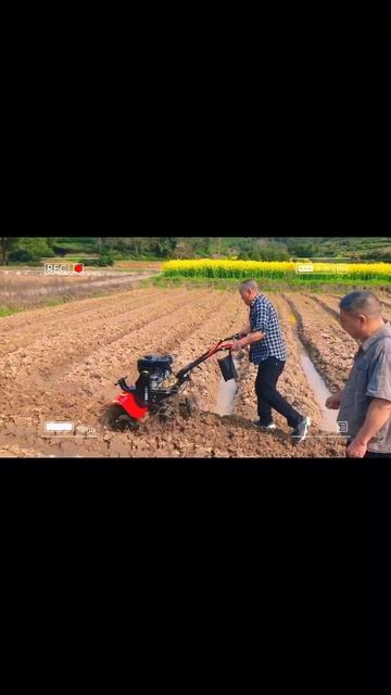 Gasoline four-wheel drive power weeder #weeder #powertiller #powerweeder #tiller #культива? смотреть онлайн