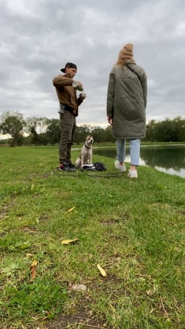 Всё будет, ты только держись #shorts смотреть онлайн