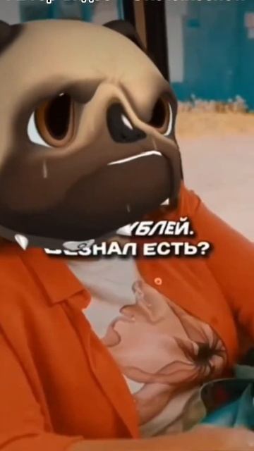 Какой самый лучший мем 2024 года ( 7 часть ) ( мат ) #2024 #юмор смотреть онлайн