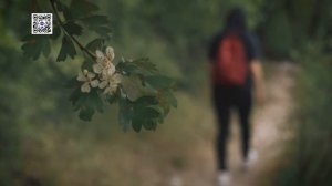 БИСЕРНЫЙ ХРАМ в Крыму, Единственный в МИРЕ, Такого вы не видели!