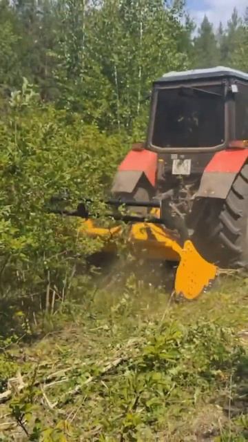 Грызу деревья #мтз1221 #мульчер #расчисткалэп смотреть онлайн