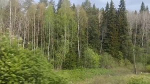 Я ПРИШЛА ЗА СЧАСТЬЕМ...