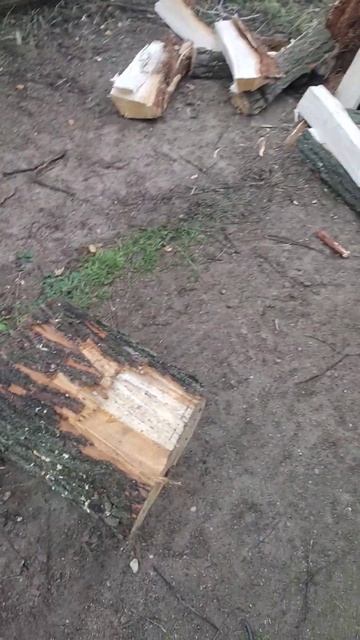 Зима близко #shorts #дрова #российскийгаз #зимаблизко смотреть онлайн