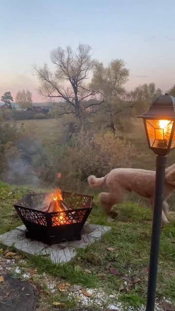 Чаша костровая разборная🔥 Шикарный подарок✅ Артику? смотреть онлайн