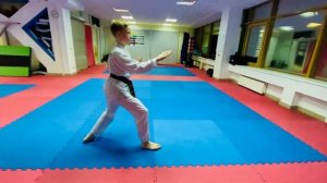 Дхан-гун видео тхэквондо туль на синий пояс тхэквондо