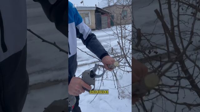 СЕКАТОР смотреть онлайн