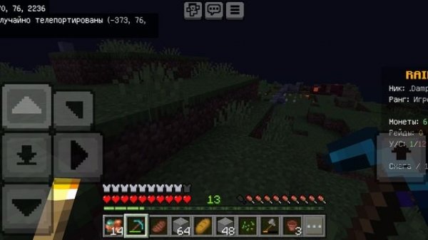 выживание на сервере raidmine