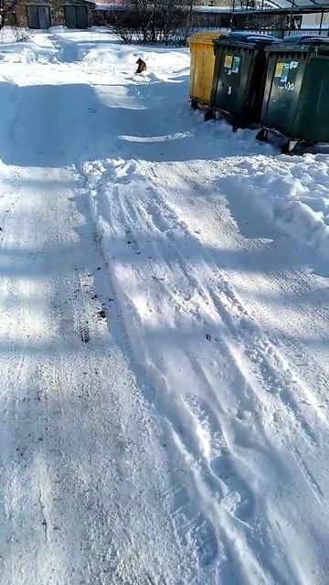 отпугиватель собак AD 100 ультразвуковой тест тестирова смотреть онлайн