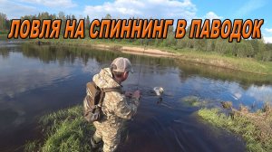 Ловля на спиннинг в паводок