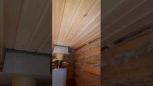 Потолки в парной и моечной в бане