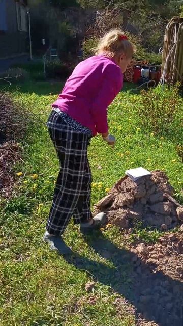 клубника.#садовод #сад #огород #дачники #дача #загород #? смотреть онлайн