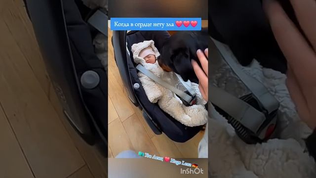 когда нет зла в сердце смотреть онлайн