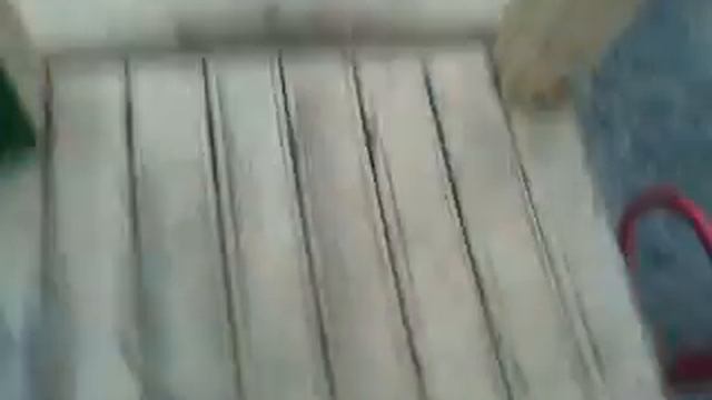 Наша дурня с Юлей!№1 смотреть онлайн