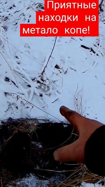 Бонусы на меллокопе! #shorts #копметаллолома #металлоиск? смотреть онлайн