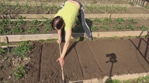 6 соток 16 мая 2025 года. 2 часть.