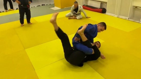 Свип из халфгарда | Waiter | Pendulum sweep