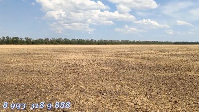 Лущильник Дисковый 6 метров. Запуск в поле по пшенице. ? смотреть онлайн