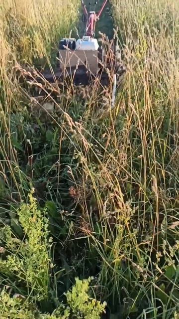 Самокос#сенокос#2024#villagelife#деревня#лето#жара#кайф#июль#?