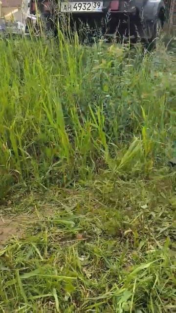 ручная электро косилка смотреть онлайн