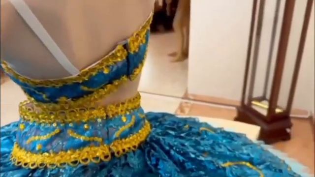 Восточный костюм (Одалиска) F 0076(2534)