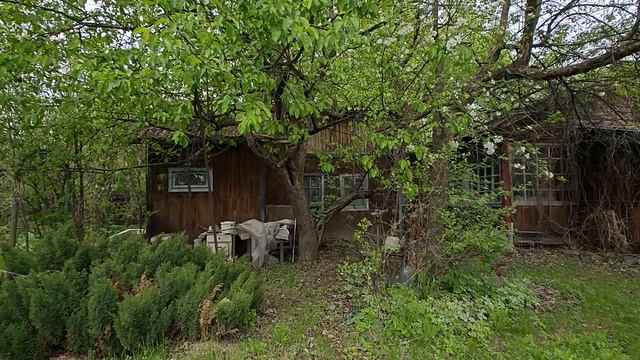 1000057846.mp4 смотреть онлайн