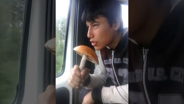 Золотой голос сыктывкар