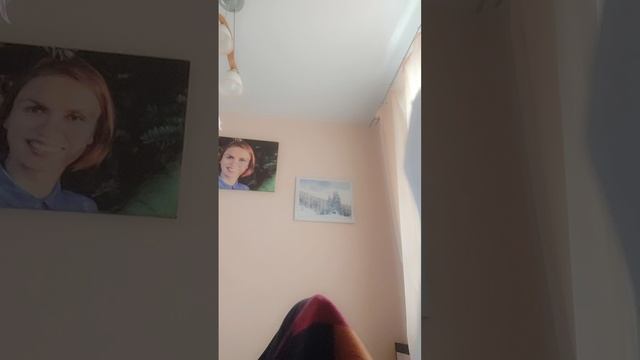 из стула в кресло смотреть онлайн