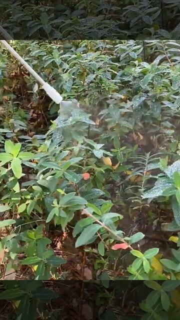 Электрический автоматический распылитель смотреть онлайн