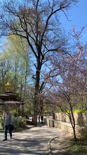 СВЯТО-НИКОЛЬСКИЙ ИСТОЧНИК КИСЛОВОДСКА #кисловодск #nat смотреть онлайн