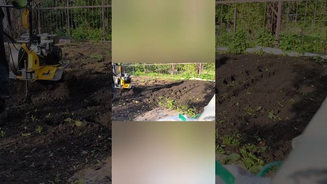 Обзор Культиватор бензиновый Hëter GMC 6.5л/с