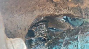 сломал вал поворотный гидроусилителя мтз 80 замена ремонт.