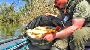 ДА СКОЛЬКО ЖЕ ЕГО ЗДЕСЬ!!!?😱НАЛОВИЛ АЖ ПОДНЯТЬ ТЯЖЕЛО! Попал на весенний ЖОР РЫБЫ.