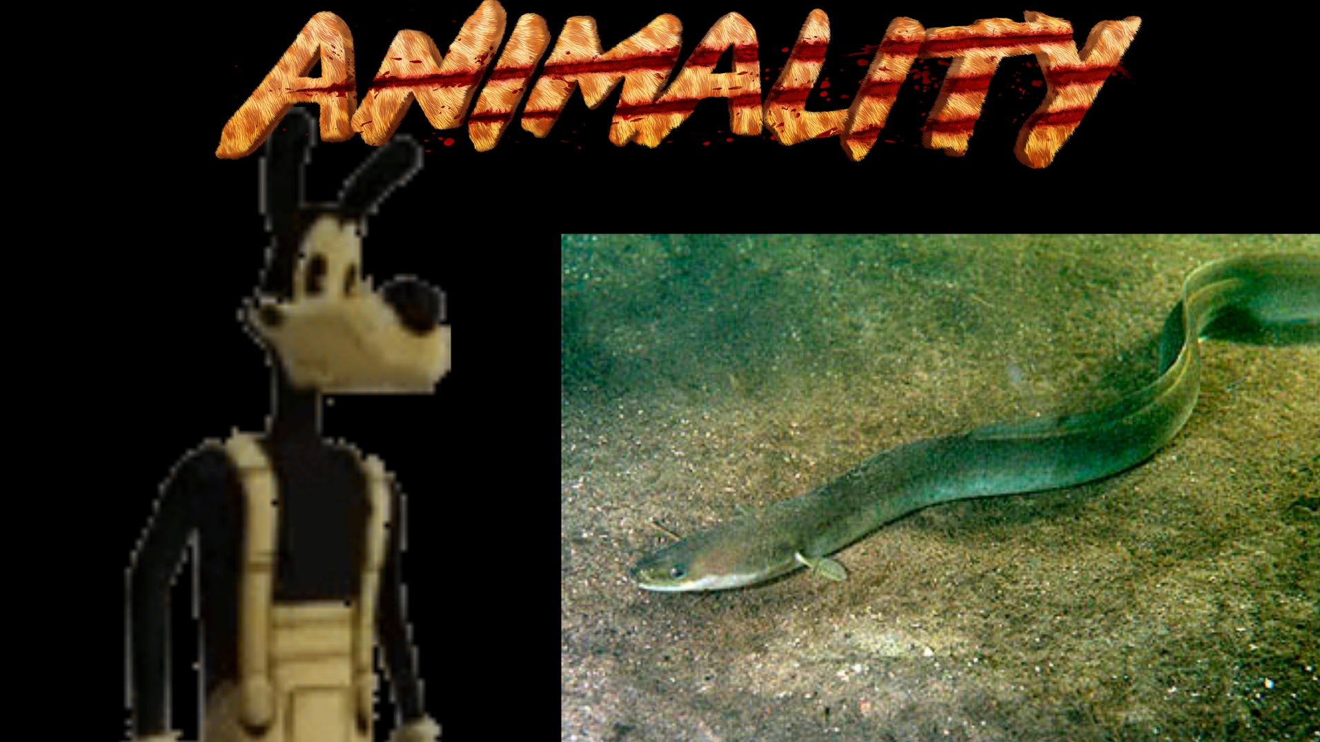 Boris animality - eel смотреть онлайн