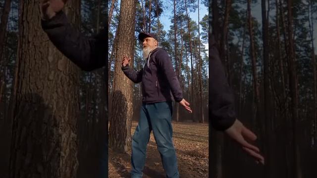 Шар Тай Цзи знакомство с формой !Дао  Весны ! Утро  Ци