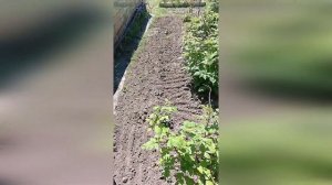 Аккумуляторный культиватор Мобил К XKA15