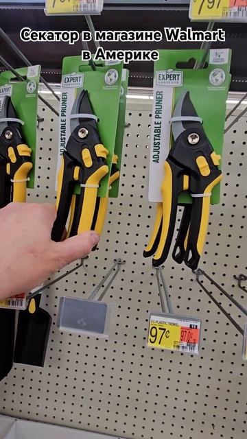Секатор в Walmart #секатор #walmart #дляогорода #длядачи #цена? смотреть онлайн