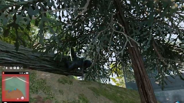 Watch Dogs 2   Баг застрял и летает