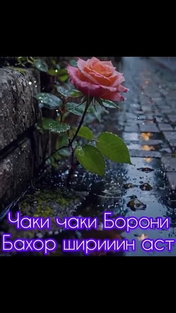 #чаки чаки борон (СУРУДИ ДАЛЕР НАЗАРОВ) смотреть онлайн