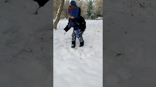 First Snow, Play Snowballs.  Первый снег, играем в снежки.