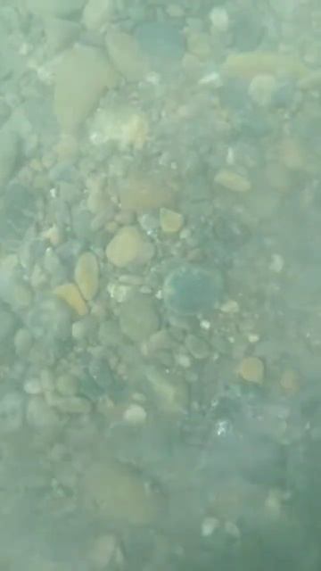 Подводный поиск с nokta makro. #подводныйпоиск #underwatersearch #shor смотреть онлайн