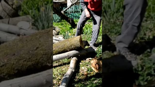 Основные причины потери мощности бензопилы смотреть онлайн