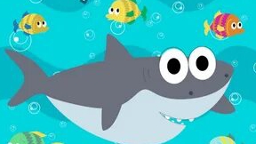 Акулёнок 🦈