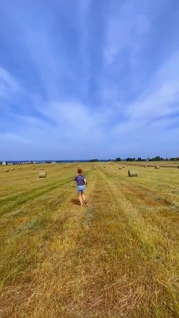 Амстафф Летний день Семья Прайд #shorts #staff смотреть онлайн