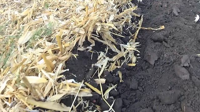 Плуг UNIA VIS 5+1