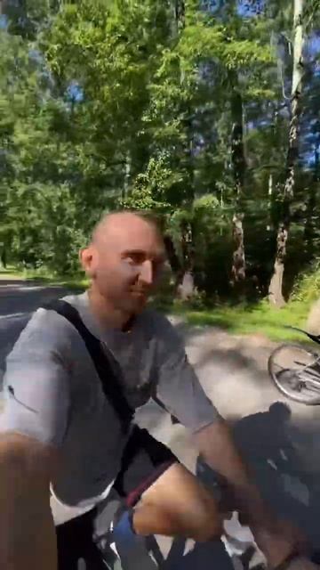 Стафф на пробежке #собака #staffy #shortvideo #pets #staff #животные #staffie смотреть онлайн