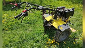 Мотоблок CHAMPION DC1193E