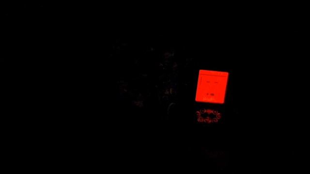 Реально ли копать ночью? Тест металлоискателя Minelab X-Terr