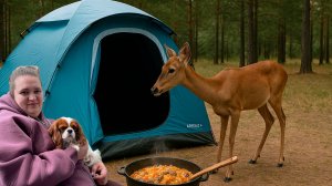 ИДЕАЛЬНЫЙ КЕМПИНГ СОРВАЛСЯ: палатка, костёр и ВНЕЗАПНЫЙ СЮРПРИЗ ОТ ПРИРОДЫ